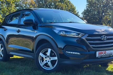 Hyundai TUCSON 160.000 km 9.999 &euro; Marxen 21439