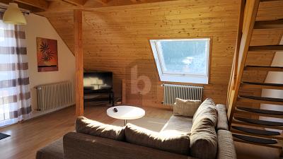 FLEXIBLE RAUMKONZEPTE FÜR JEDEN BEDARF - Mehrfamilienhaus, Wohnhaus Feldberg | Angebot:27313978