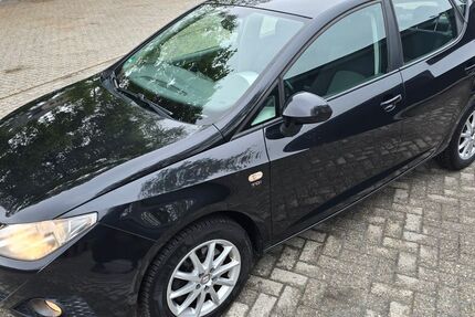 Seat Ibiza 230.888 km 3.990 &euro; Leer 26789