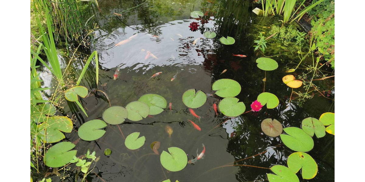 Doppelhaushälfte Dieburg - 3 Zimmer, 80 m&sup2;, 495.000&euro; | Angebot:26290136