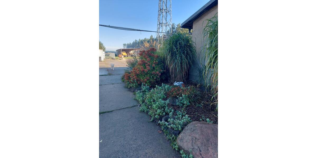 Haus mit See und Wald (Mietkauf möglich) 12 zimmer