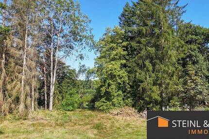 Naturnah wohnen in Hirschau – Baugrundstück ohne Bauzwang zimmer