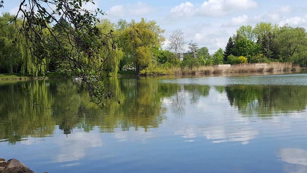 Gewerbeobjekt Zwickau Bahnhofsvorstadt - 2 Zimmer, 49 m&sup2;, 49.800&euro; | Angebot:25707444