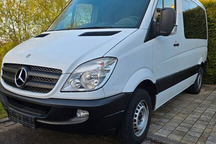 Mercedes-Benz Sprinter 225.600 km 10.300 &euro; Endingen 79346