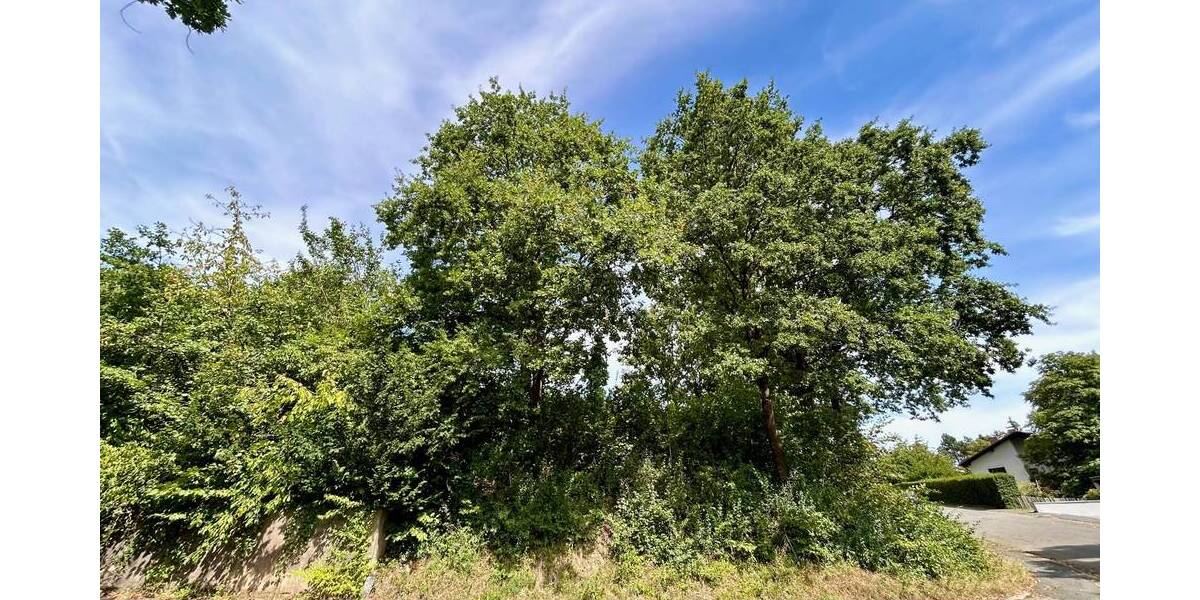 Grundstück Höchstadt / Etzelskirchen Etzelskirchen - 169.000&euro; | Angebot:26160708