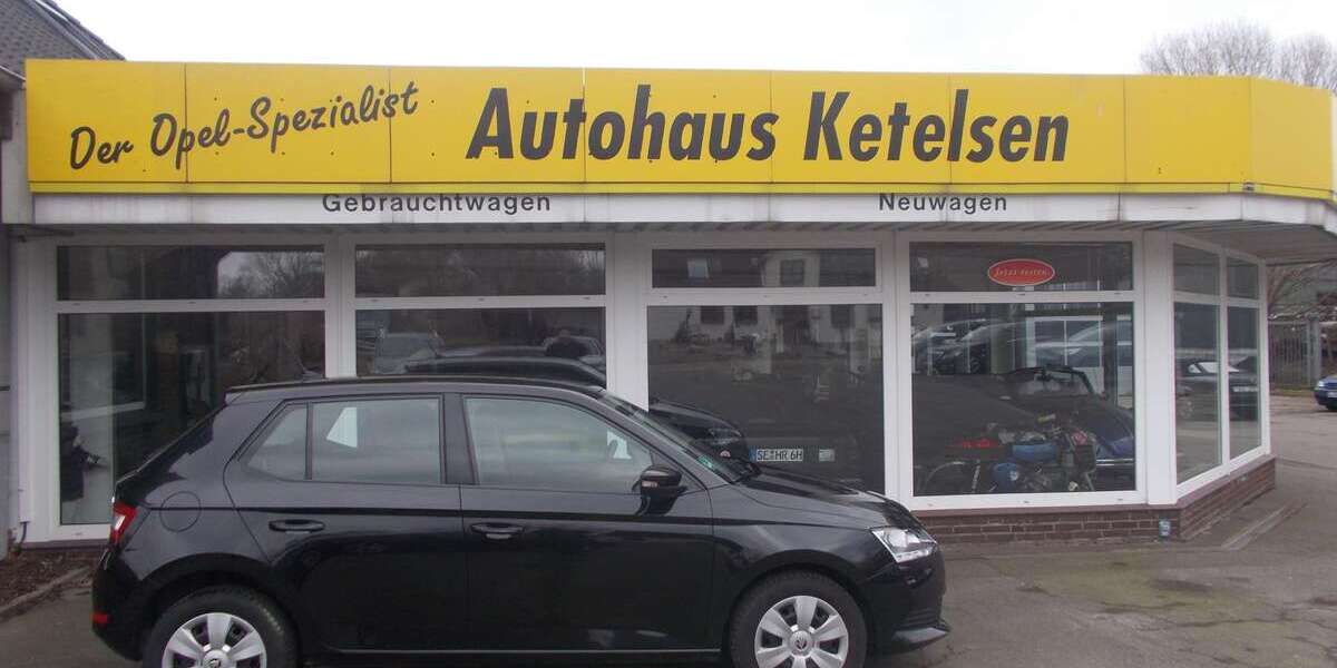 Skoda Fabia 90.000 km 9.899 &euro; Wohlde 24899