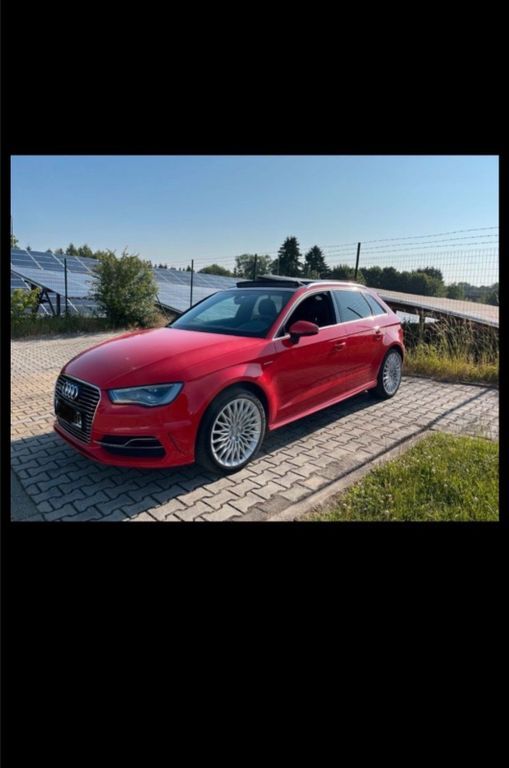 A3