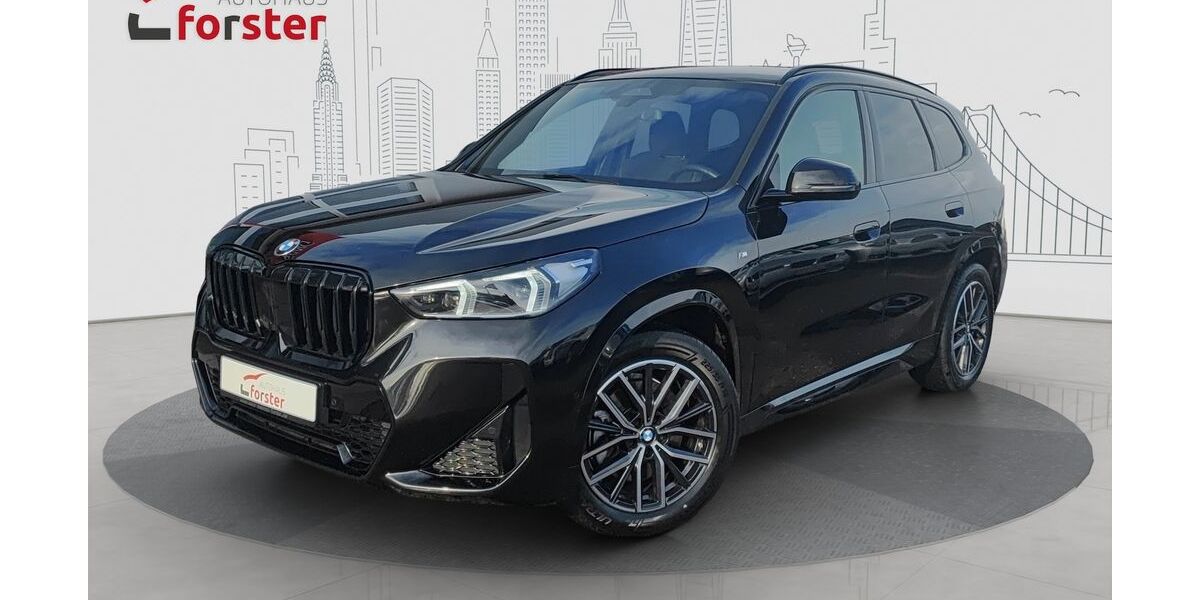BMW X1 41.500 km 41.900 &euro; Altenstadt 92665
