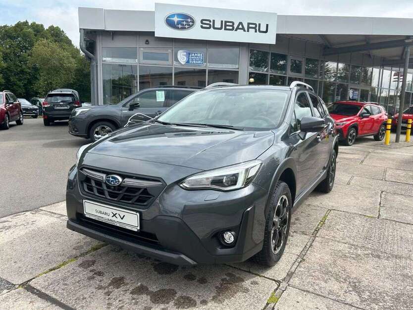 XV