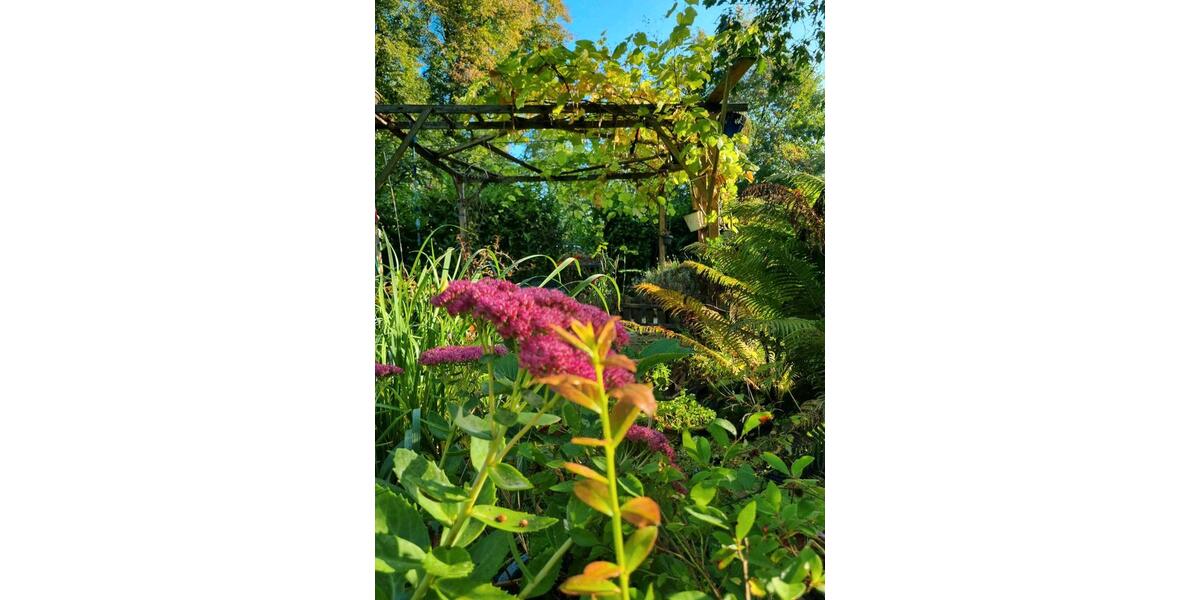 Mehrfamilienhaus, Wohnhaus Wuppertal Gemarkung Ronsdorf - 8 Zimmer, 220 m&sup2;, 450.000&euro; | Angebot:25761667