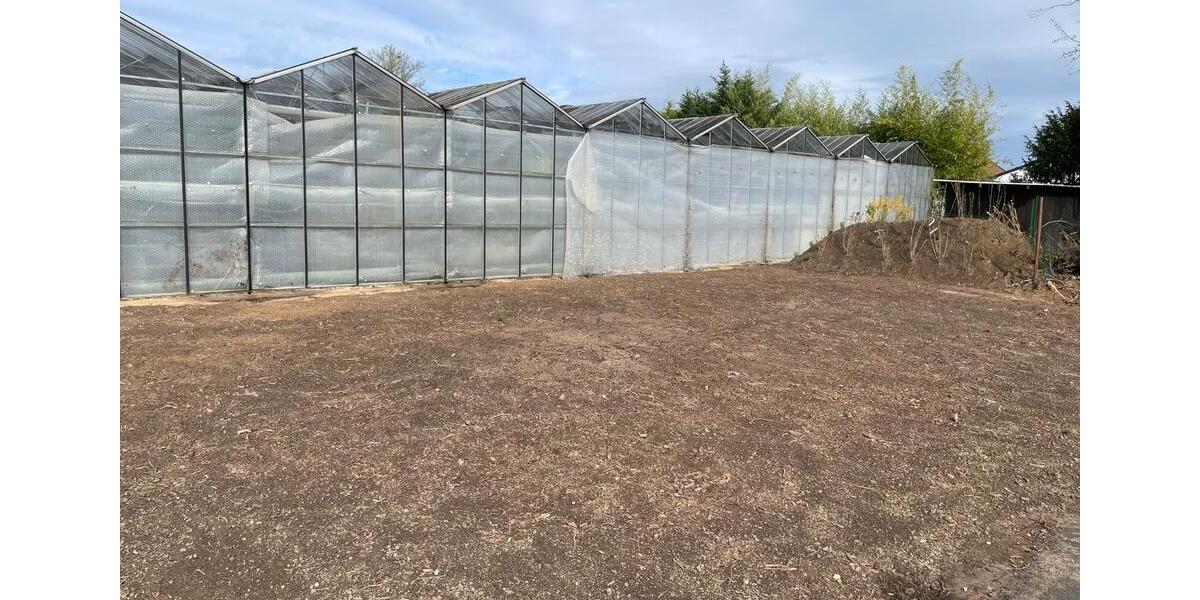 Grundstück Köln Kalk - 600&euro; | Angebot:26115961