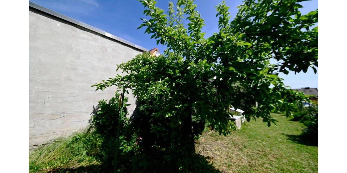 Einfamilienhaus Frankenthal (Pfalz) Mörsch - 6 Zimmer, 137 m&sup2;, 350.000&euro; | Angebot:26787541