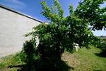 Einfamilienhaus Frankenthal (Pfalz) Mörsch - 6 Zimmer, 137 m&sup2;, 350.000&euro; | Angebot:26787541