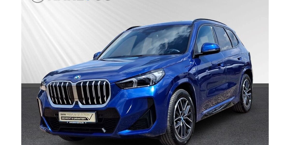 BMW X1 24.866 km 49.991 &euro; Wiesbaden 65203