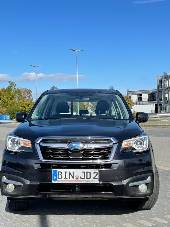 Forester