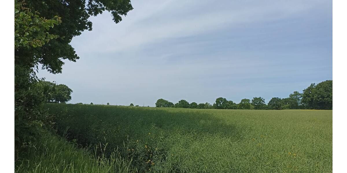 Grundstück Bunsoh - 110.000&euro; | Angebot:19330332