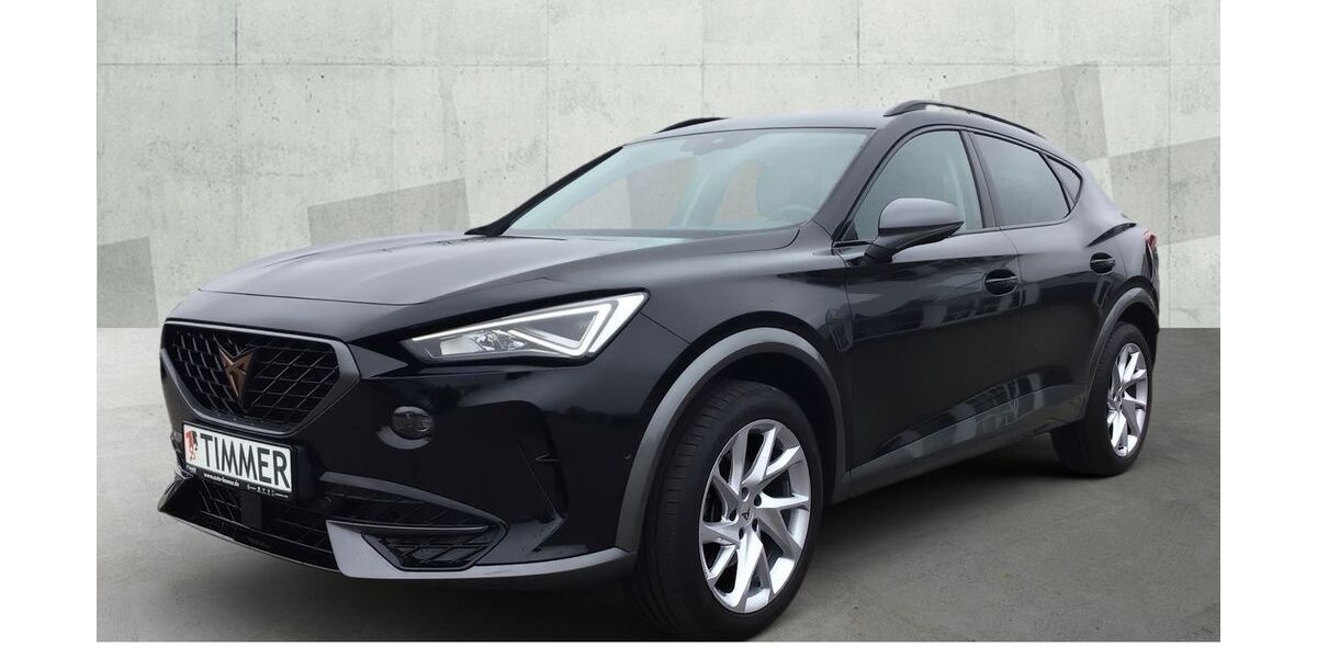 Cupra Formentor 61.513 km 26.790 &euro; Meppen 49716