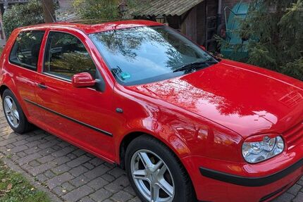 VW Golf 214.000 km 2.499 &euro; Rees 46459