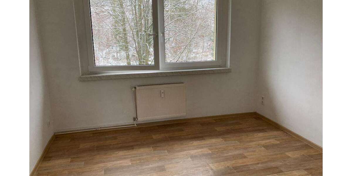 Wohnung mit Balkon und fantastischem Ausblick - Appartement Schierke Schierke | Angebot:18543437