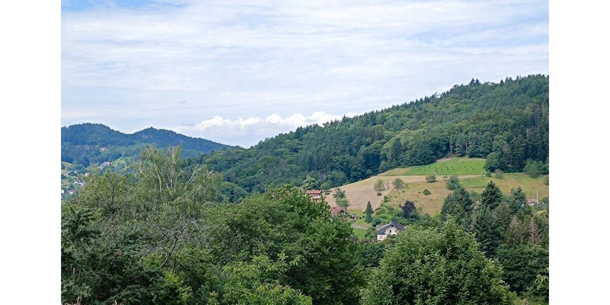 Terrassenwohnung Baden-Baden Lichtental - 3.5 Zimmer, 120 m&sup2;, 1.150&euro; | Angebot:26491782