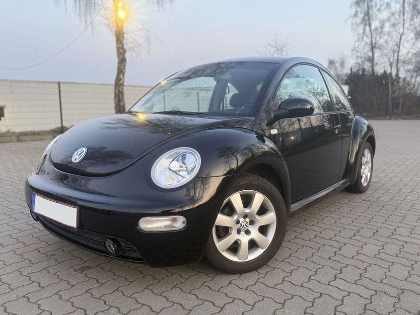 Beetle