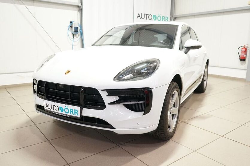 Macan