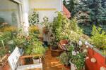 Einfamilienhaus Weiterstadt - 3 Zimmer, 295.000&euro; | Angebot:26731207