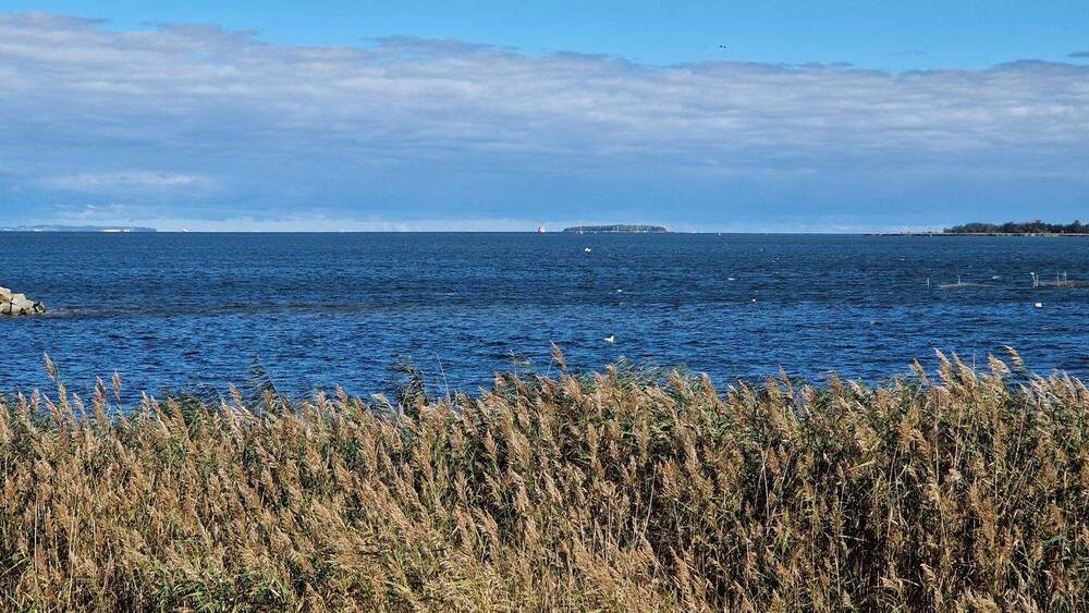 HotelAppartementsFerienwohnungen 1 zimmer