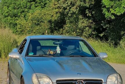 Mercedes-Benz SLK 200 118.000 km 5.900 € Magdala 99441