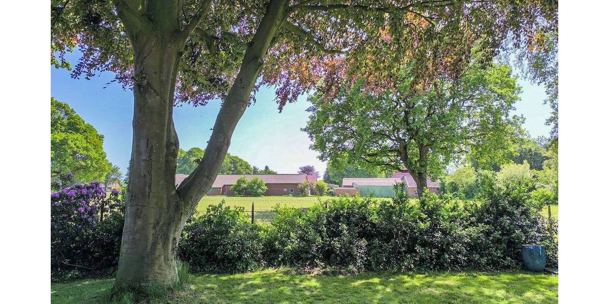 Doppelhaushälfte Debstedt Debstedt - 4 Zimmer, 117 m&sup2;, 219.000&euro; | Angebot:26819836
