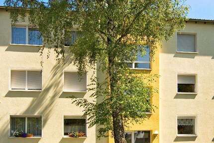 Wohnung Eschweiler Wilhelmshöhe - 3 Zimmer, 55 m&sup2;, 479&euro; | Angebot:26458105