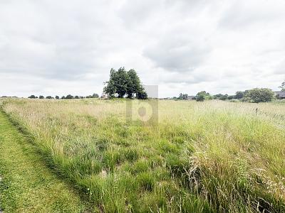 NATURNAH UND IDYLLISCH MIT BAUGENEHMIGUNG - Grundstück Engelbrechtsche Wildnis | Angebot:27164924