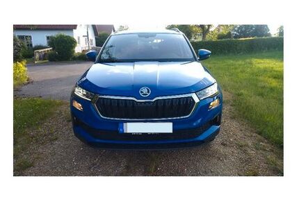 Skoda Karoq 87.000 km 17.999 &euro; Kirchenthumbach 91281