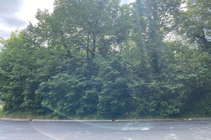 Provisionsfrei - großes Baugrundstück in Potsdam Bornim