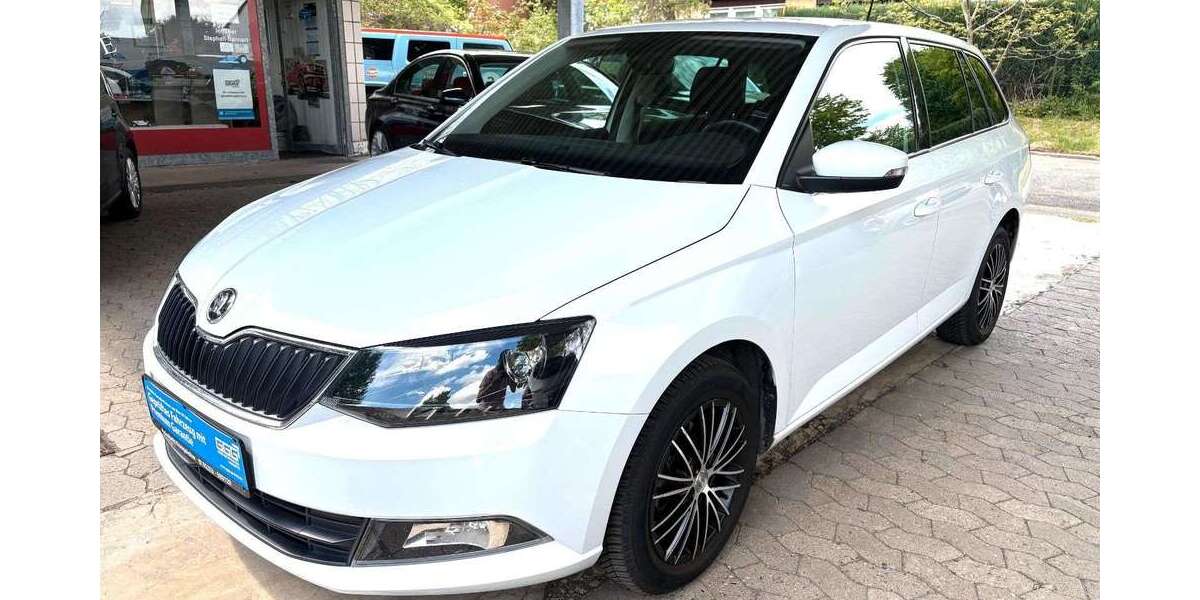 Skoda Fabia 80.650 km 10.990 &euro; Königslutter 38154