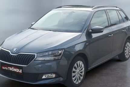 Skoda Fabia 93.900 km 12.420 € Grafenhausen 79865