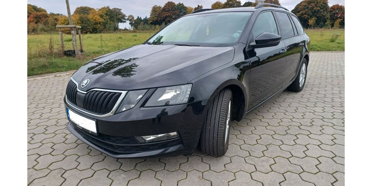 Skoda Octavia 257.000 km 8.990 &euro; Buchholz 21244