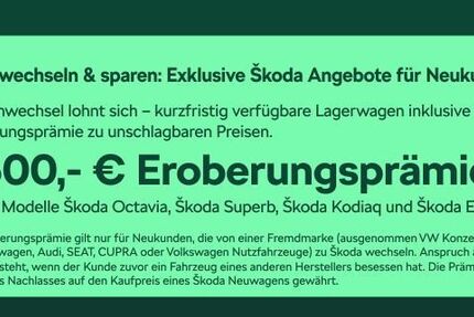 Skoda Octavia 30.000 km 39.480 &euro; Frankfurt 60435