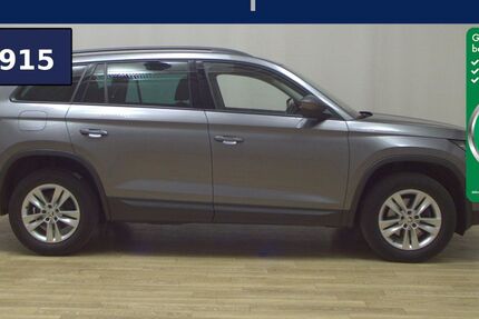 Skoda Kodiaq 173.372 km 20.180 &euro; Bremen / Arsten 28279