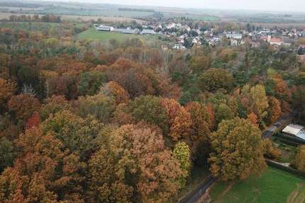 Grundstück in Zeitz 72.000 € 55465 m² zimmer