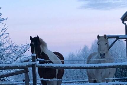 Haus Lübz - 7 Zimmer, 170 m&sup2;, 385.000&euro; | Angebot:25043581