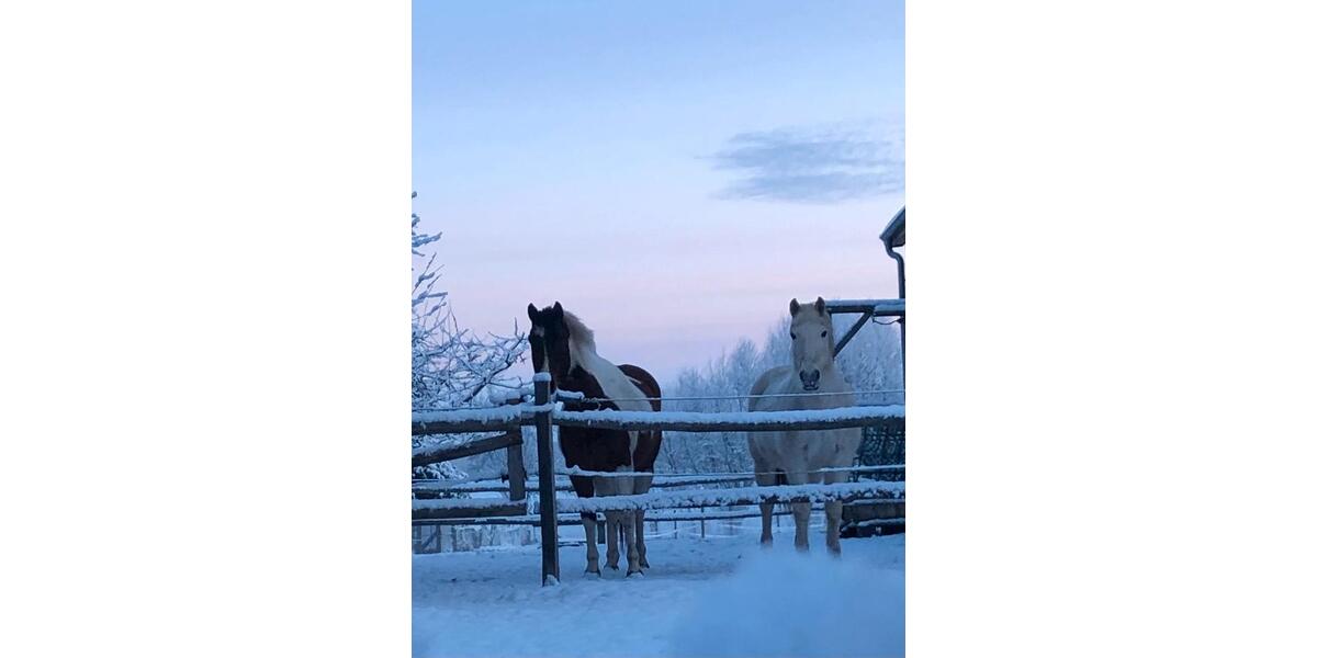 Mehrfamilienhaus, Wohnhaus Lübz - 7 Zimmer, 170 m&sup2;, 385.000&euro; | Angebot:25043581