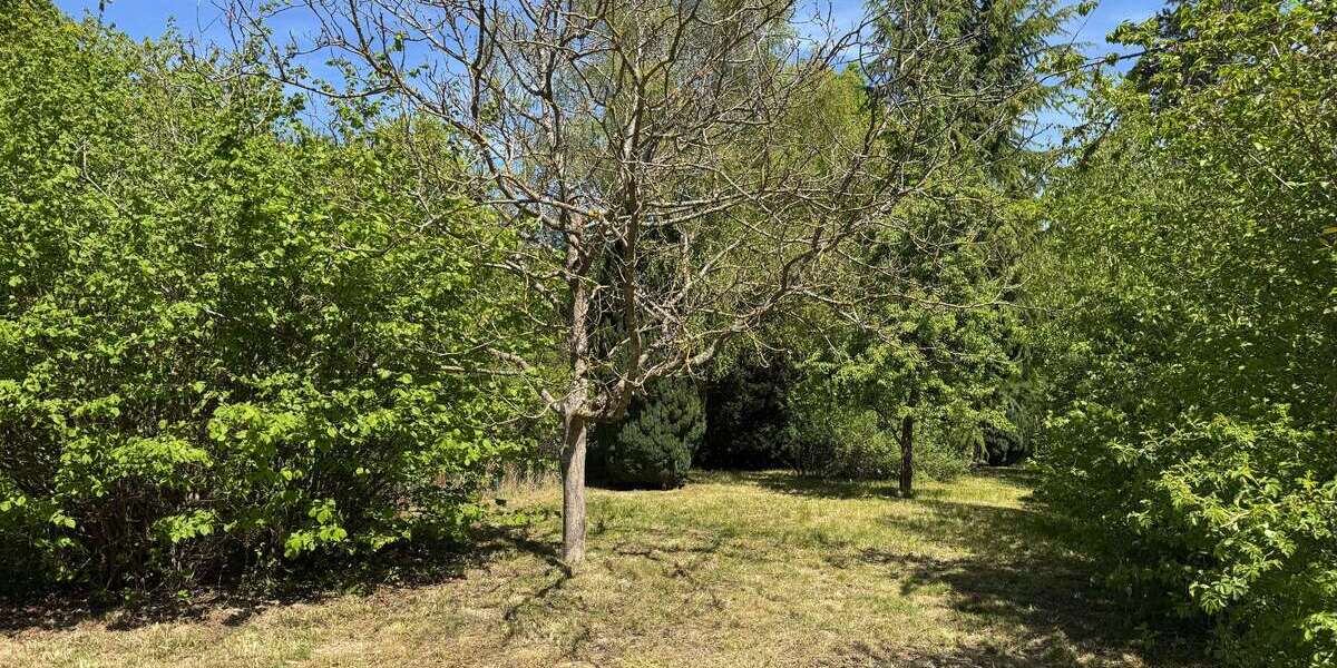 Grundstück Wiesbaden-Sonnenberg Sonnenberg - 57.000&euro; | Angebot:26396268