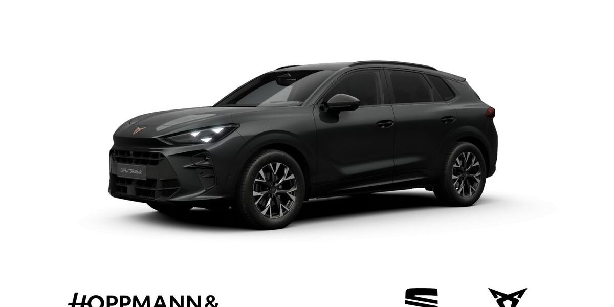 Cupra Terramar 26.218 km 33.950 &euro; Dillenburg 35683