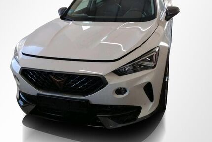 Cupra Formentor 66.669 km 22.440 &euro; Magdeburg 39126