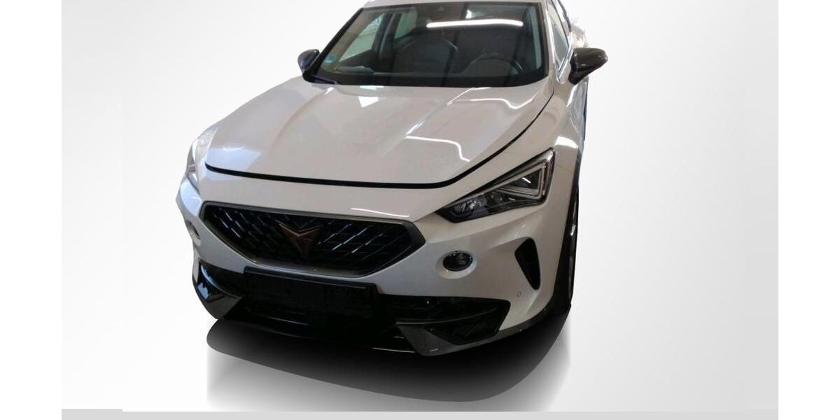 Cupra Formentor 66.669 km 22.740 &euro; Magdeburg 39126