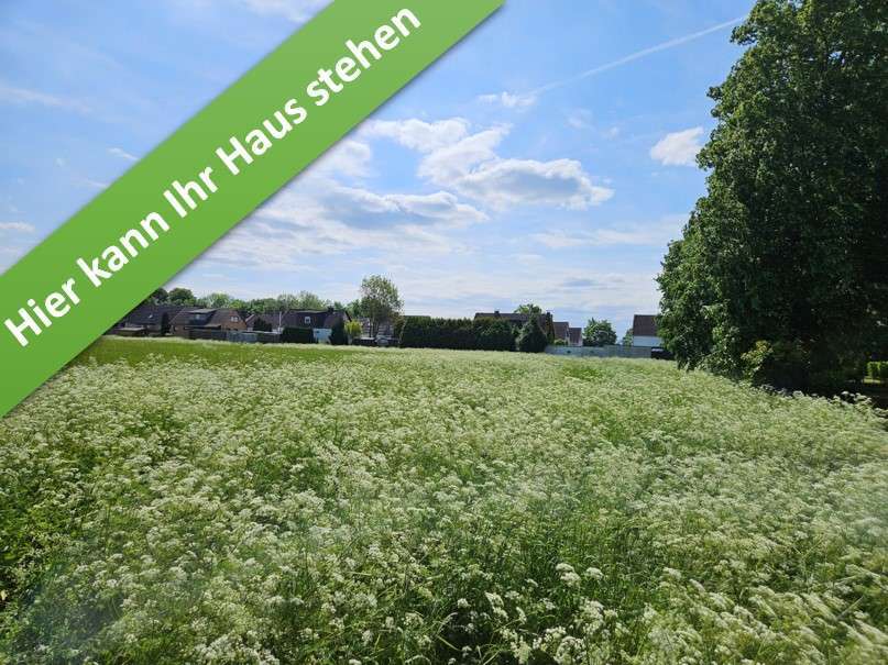 Haus zum Kaufen in Schladen 392.750 € 142 m²