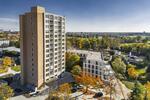 Etagenwohnung Cottbus Sachsendorf - 1 Zimmer, 37 m&sup2;, 595&euro; | Angebot:26164000