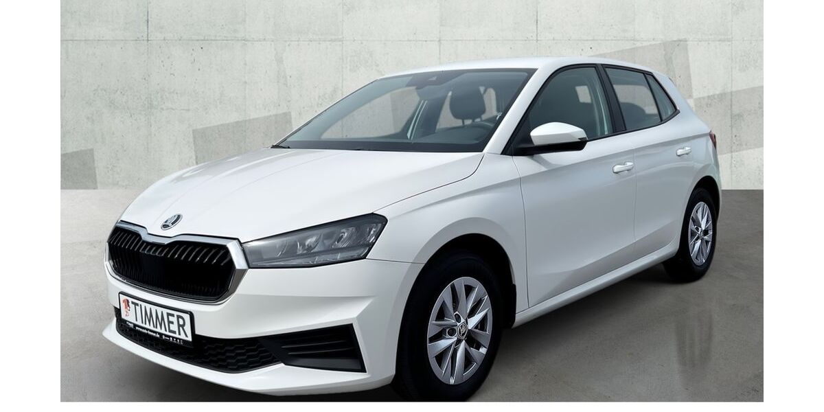 Skoda Fabia 61.986 km 13.980 &euro; Nordhorn 48529