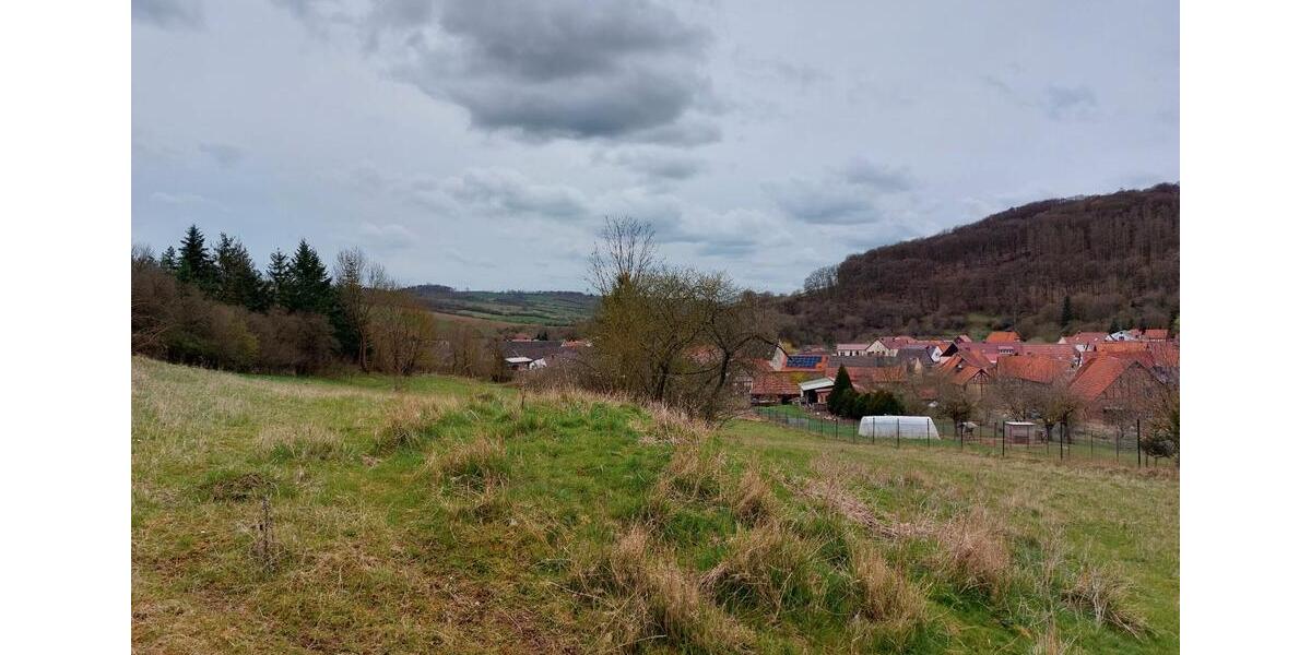 Einfamilienhaus Sangerhausen - 35.500&euro; | Angebot:26120506